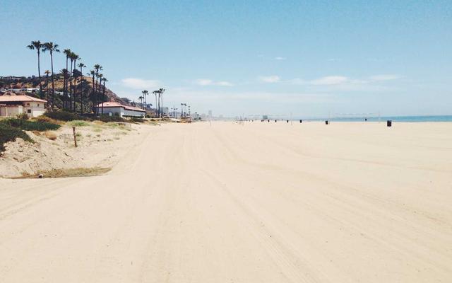 Photo by Le Tran Hoang Oanh on Unsplash — representative image for Viện Việt Học - Institute of Vietnamese Studies