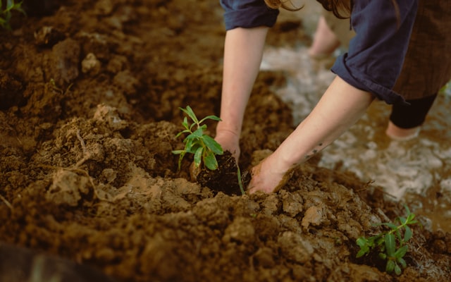 Photo by Ana Jovanovski on Unsplash — representative image for 10% Giveback to Special Olympics