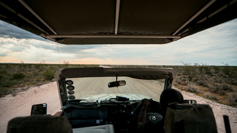 Photo by NIR HIMI on Unsplash — representative image for Cedar Roughs Wildlife Area