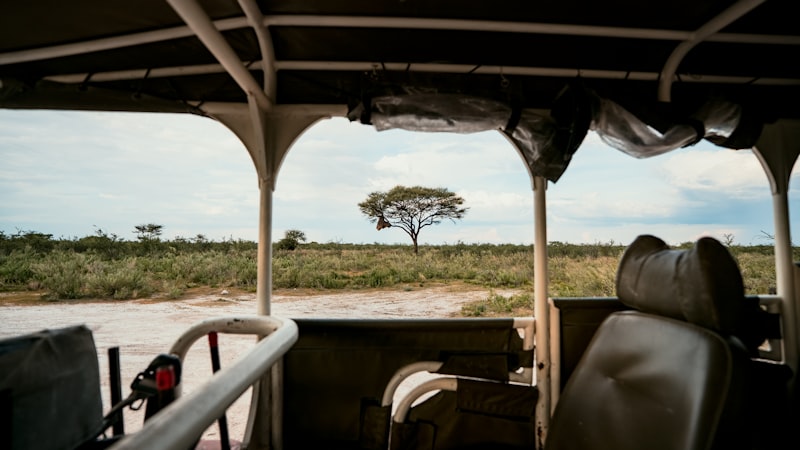 Photo by NIR HIMI on Unsplash — representative image for Clean Up: San Diego Bay National Wildlife Refuge