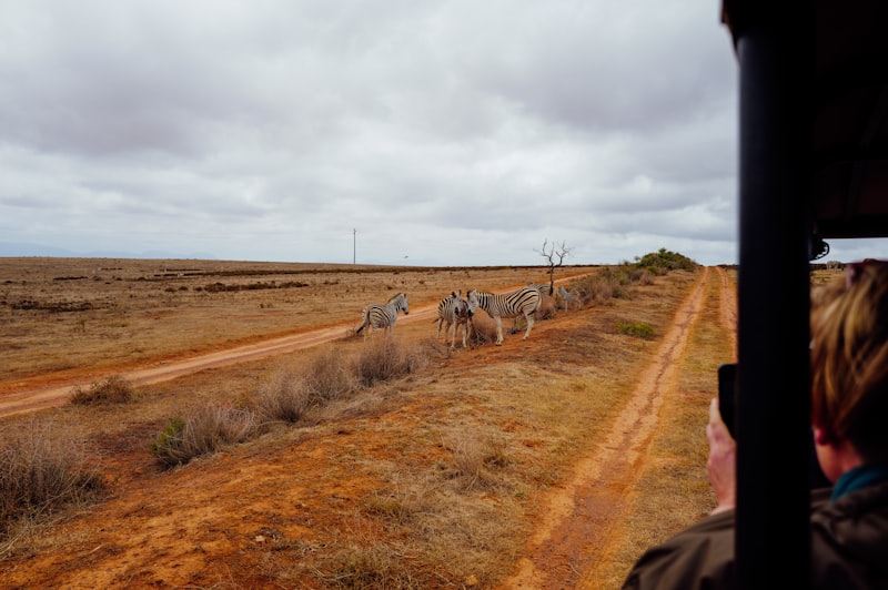 Photo by Adrien Olichon on Unsplash — representative image for Wildlife Conservation Society - Bronx Zoo