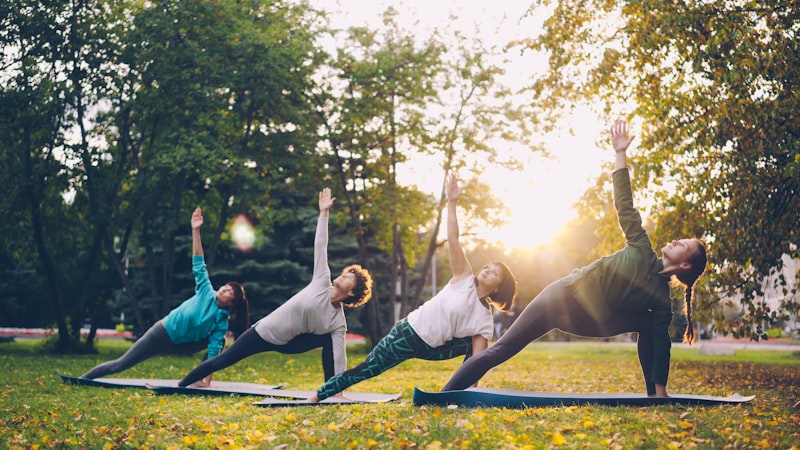 Photo by Vitaly Gariev on Unsplash — representative image for Wellness Yoga for Adults